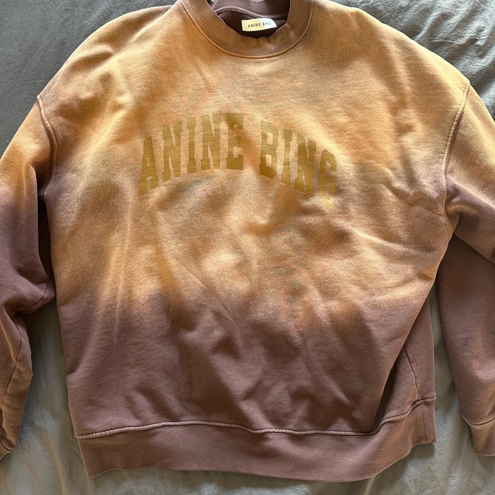 Anine Bing ombré sweatshirt